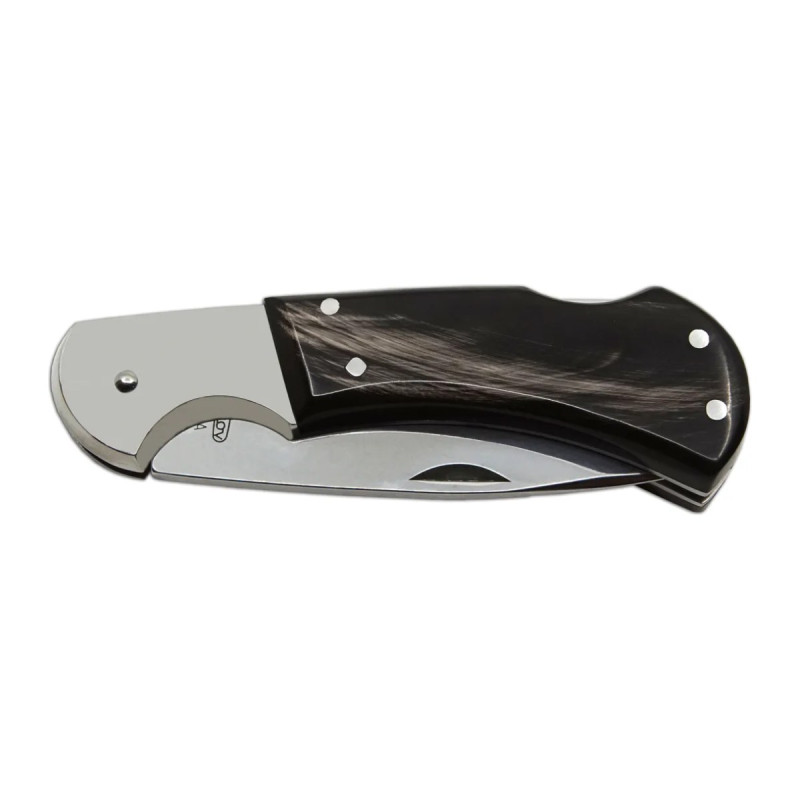 Hunting folding knife HABLOCK – buffalo horn handle scale 220-XR-1